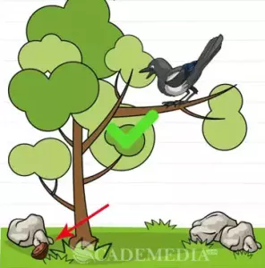 KUNCI JAWABAN BRAIN TEST LEVEL 161-170