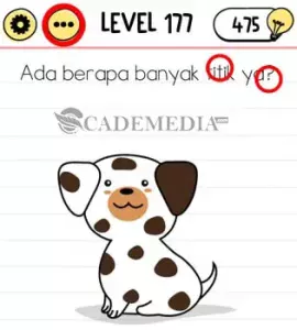 KUNCI JAWABAN BRAIN TEST LEVEL 161-170