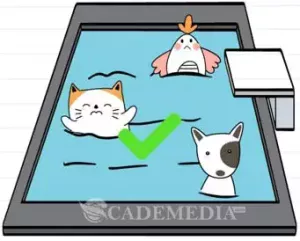 KUNCI JAWABAN BRAIN TEST LEVEL 181-190