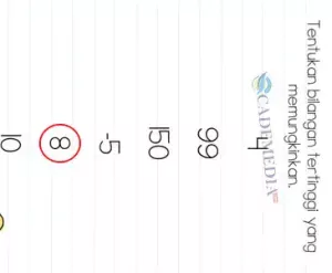 KUNCI JAWABAN BRAIN TEST MINGGUAN